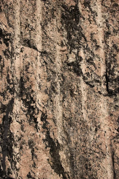 Front view of rock surface — Stock Photo, Image