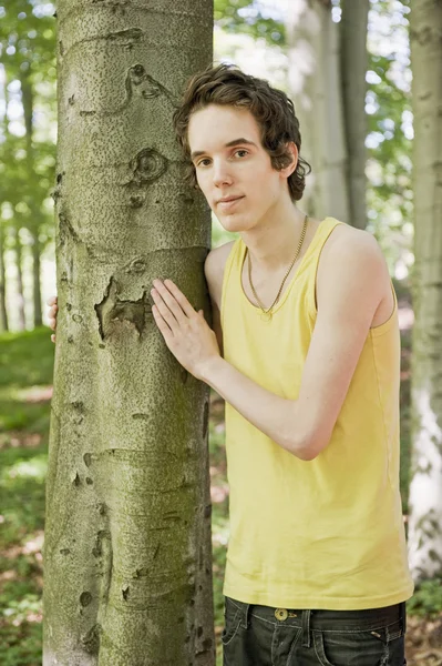 stock image Young man standing by a tree