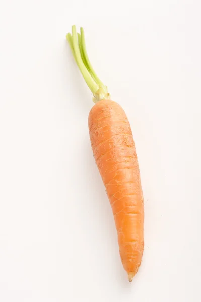 Stock image Carrot