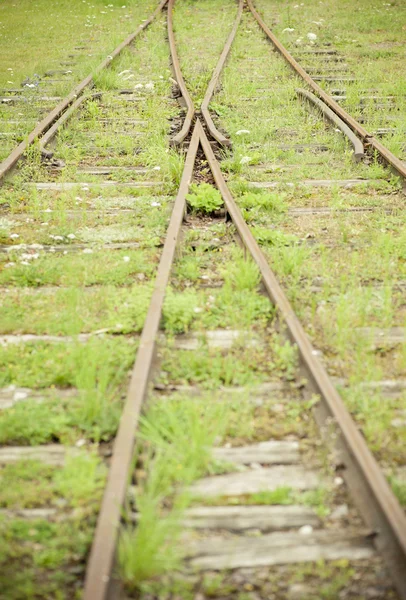 Merging railway lines — Stock Photo, Image