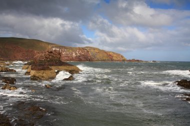 St abbs baş, berwickshire, İskoçya