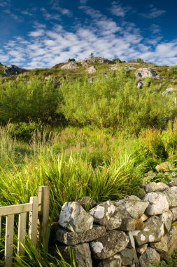 Hebridesli hillside, harris, western Isles, İskoçya