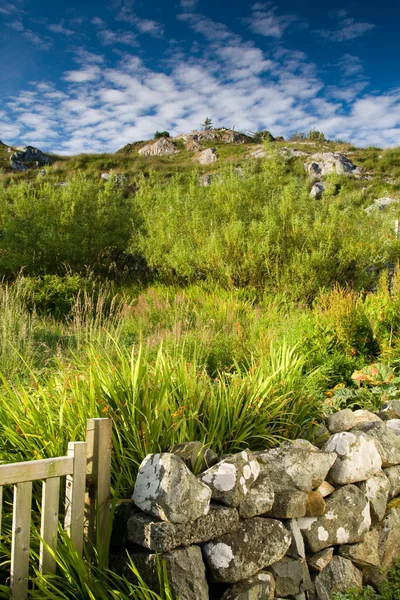 Stock image Hebridean Hillside, Harris, Western Isles, Scotland