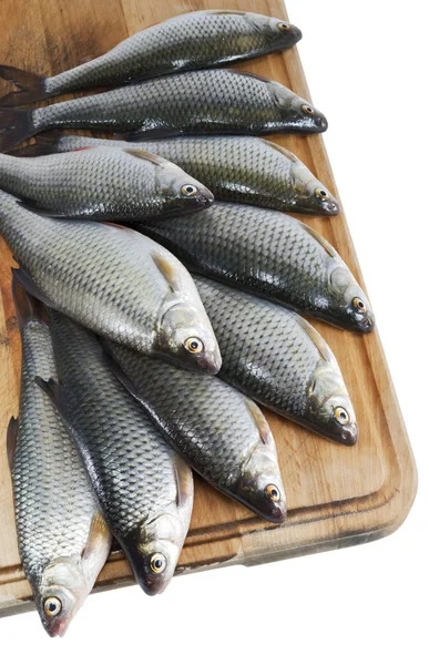 Flussfische, Rotaugen auf dem hölzernen Küchenbrett über Weiß — Stockfoto