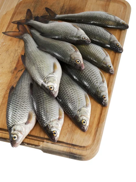 Flussfische, Rotaugen auf dem hölzernen Küchenbrett über Weiß — Stockfoto