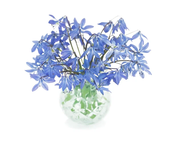 stock image First spring blue flowers in a small crystal vase