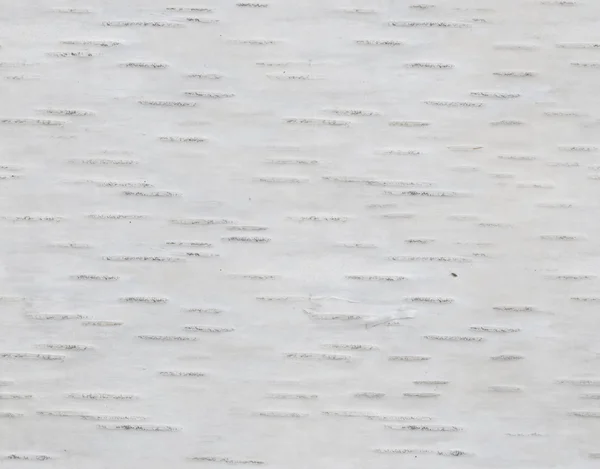 樺の樹皮の自然な繰り返し背景 — ストック写真