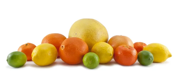 stock image Set of citrus fruit on white background