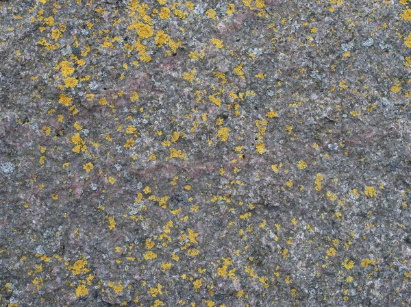 A superfície da pedra de granito com manchas de líquenes. Pode ser — Fotografia de Stock