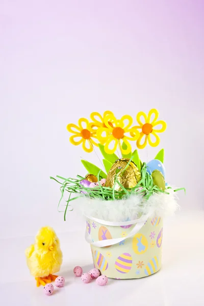 Pollito y cesta de Pascua — Foto de Stock