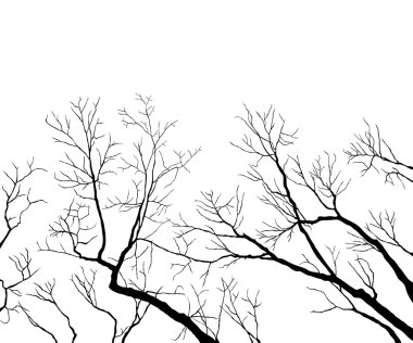 Bare Branches clipart