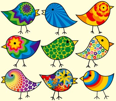 dokuz renkli kuşlar