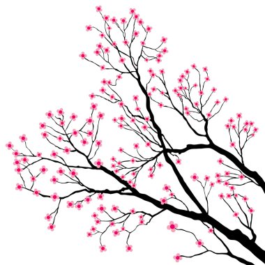 pembe çiçekli ağaç dalları
