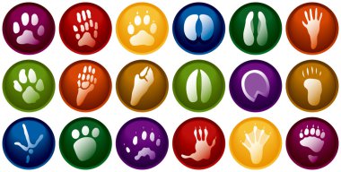 Animal tracks buttons clipart