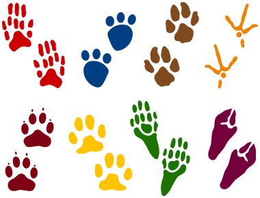 Eight sets of Animal Tracks clipart