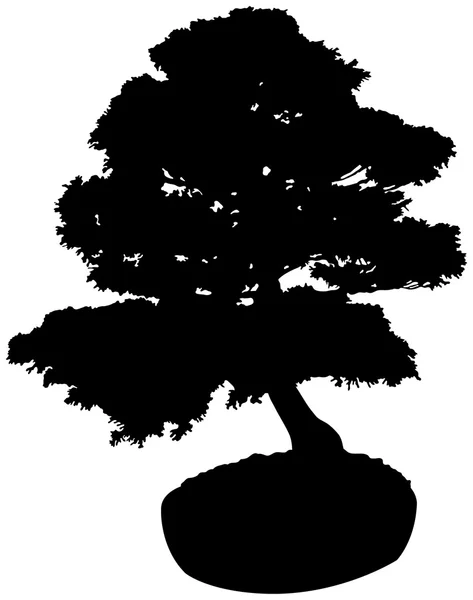 Sílhueta de árvore de Bonsai —  Vetores de Stock