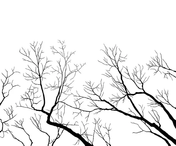 Branches nues — Image vectorielle