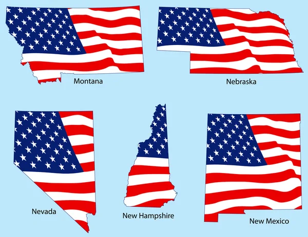 Cinq États avec drapeaux — Image vectorielle