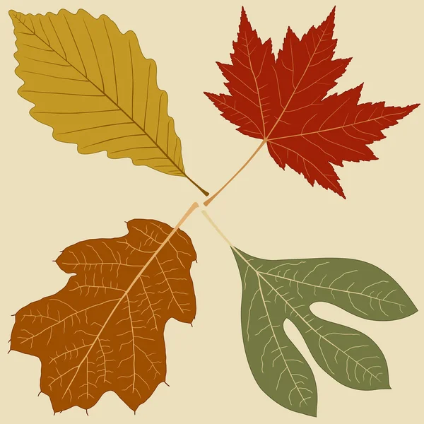 Quatre feuilles — Image vectorielle