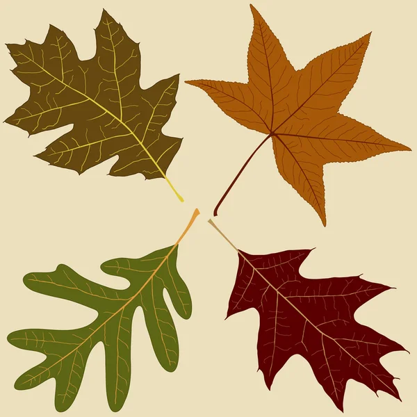 Four Leaves — Stock Vector