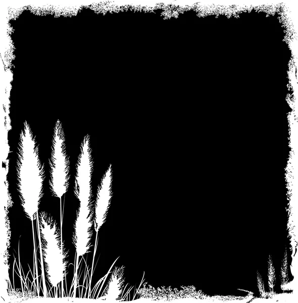 Pampas Grass Grunge Arrière plan — Image vectorielle