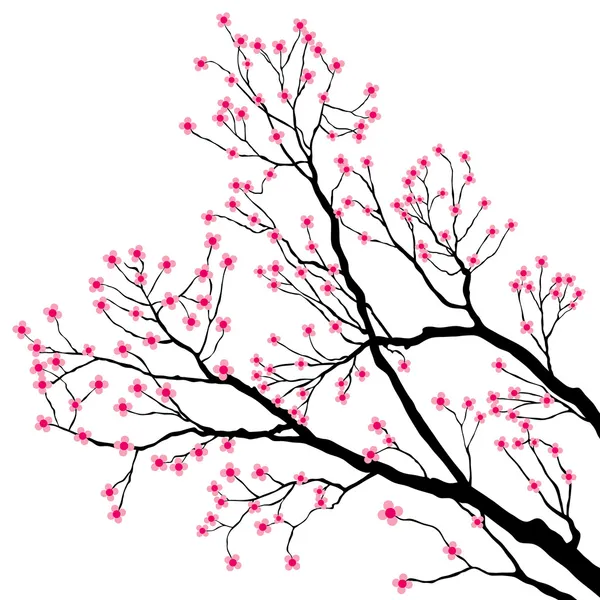Ramas de árboles con flores rosadas — Vector de stock
