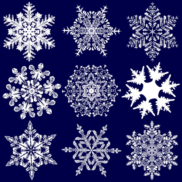 Neuf flocons de neige originaux plus fabuleux — Image vectorielle