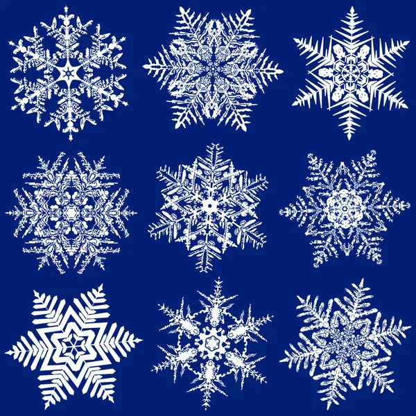 Neuf fabuleux flocons de neige originaux — Image vectorielle