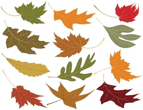 Viento soplado hojas de otoño — Vector de stock