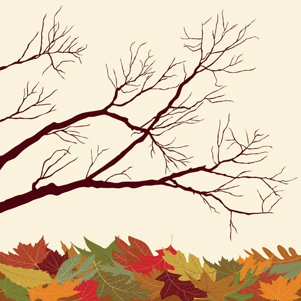 Bare Branches with Fallen Leaves — Stock Vector