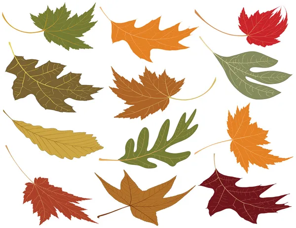 Wind blown fall leaves Royalty Free Stock Illustrations