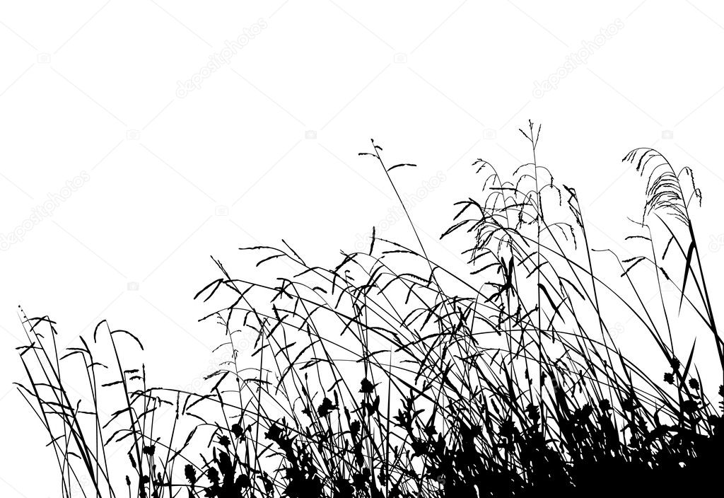 Meadow Grass Silhouette