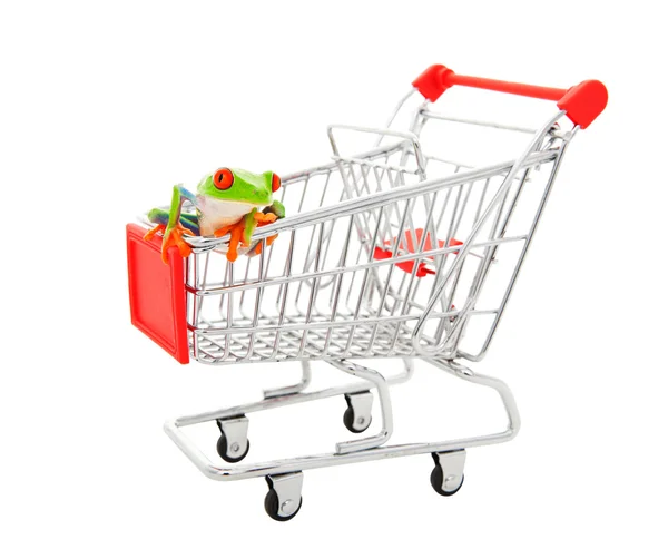 Pet Store Shopping Cart — Stock Photo, Image