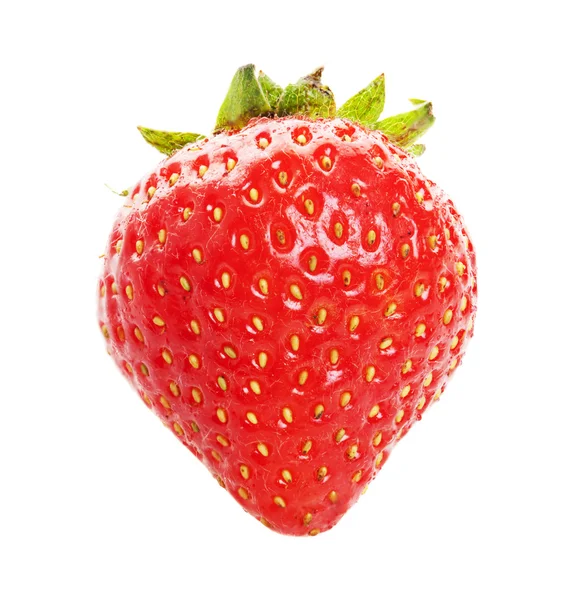 유기농 딸기 — 스톡 사진