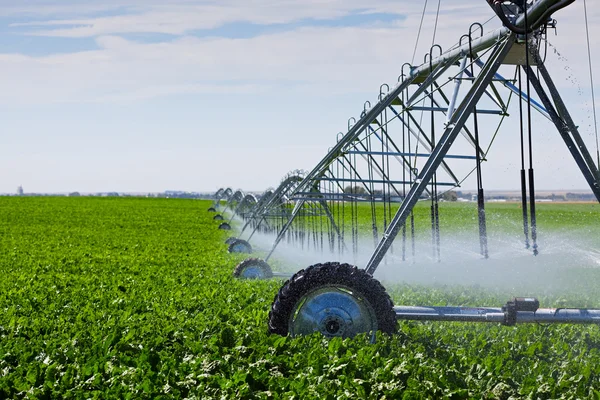 Irrigatie pivot — Stockfoto