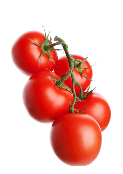 Tomates en la vid —  Fotos de Stock
