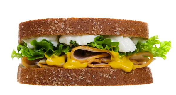 Sandwich de pollo especial — Foto de Stock