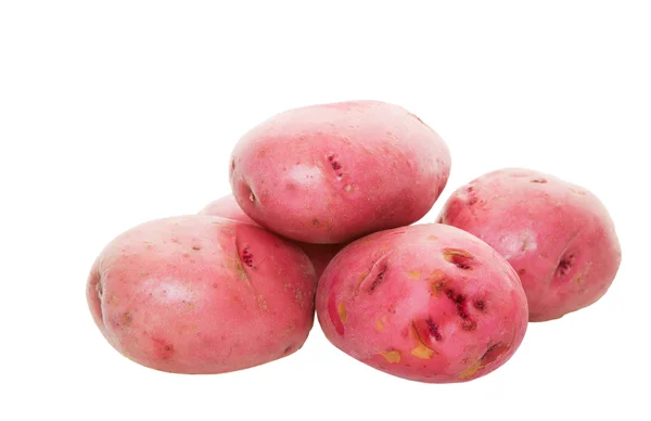 Rote Kartoffeln — Stockfoto