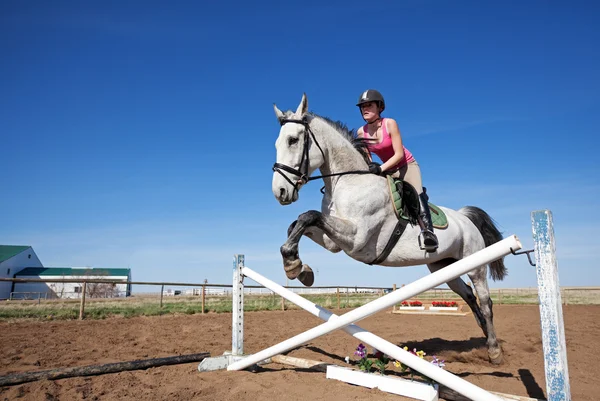 stock image Show Jumper