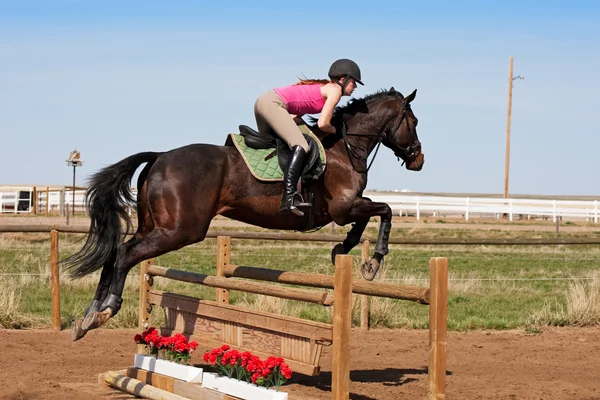 Stock image Crossing a Hurdle