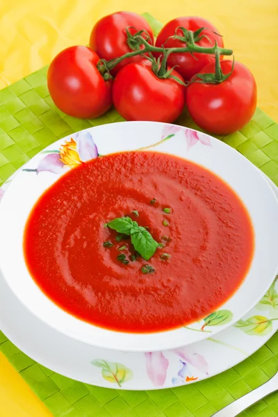 Frische Tomatensuppe — Stockfoto