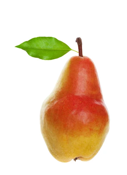 Vackra färska päron — Stockfoto