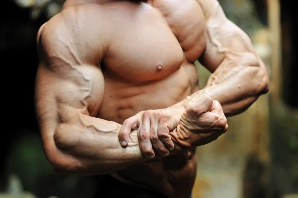 Muscular torso bitsep — Stock Photo, Image