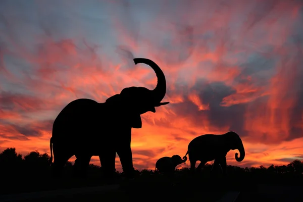 Olifanten genieten van een spectaculaire zonsondergang op de serengeti — Stockfoto