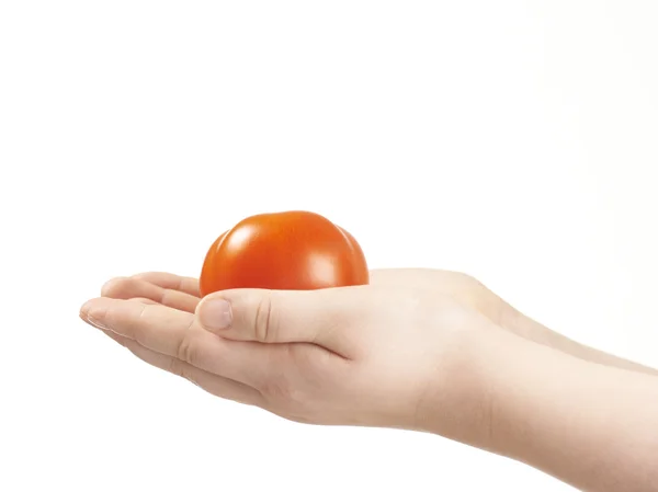 Tomatoe в руках ребенка - ладони лицом вверх — стоковое фото