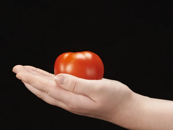 Tomatoe di tangan anak-anak telapak tangan menghadap ke atas — Stok Foto