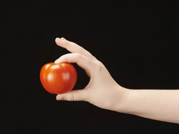 stock image Childs hand with tomatoe