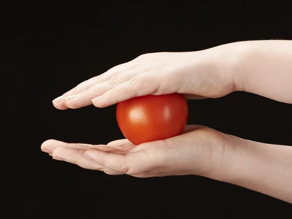 Tomatoe sandwiched between childs hands — Stock Photo, Image