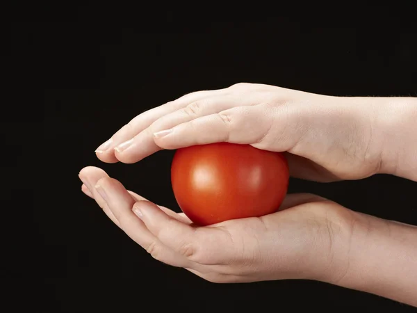 Tomatoe 夹在查尔兹手 — 图库照片