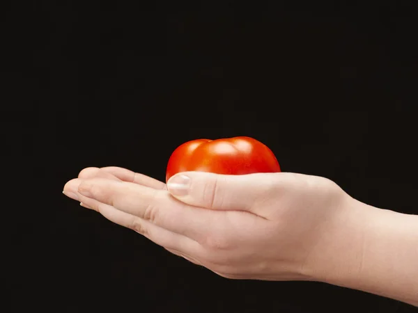 Tomatoe in the hands of child - palms facing up — Stock Photo, Image